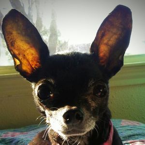 Meet your Posher, Melanie